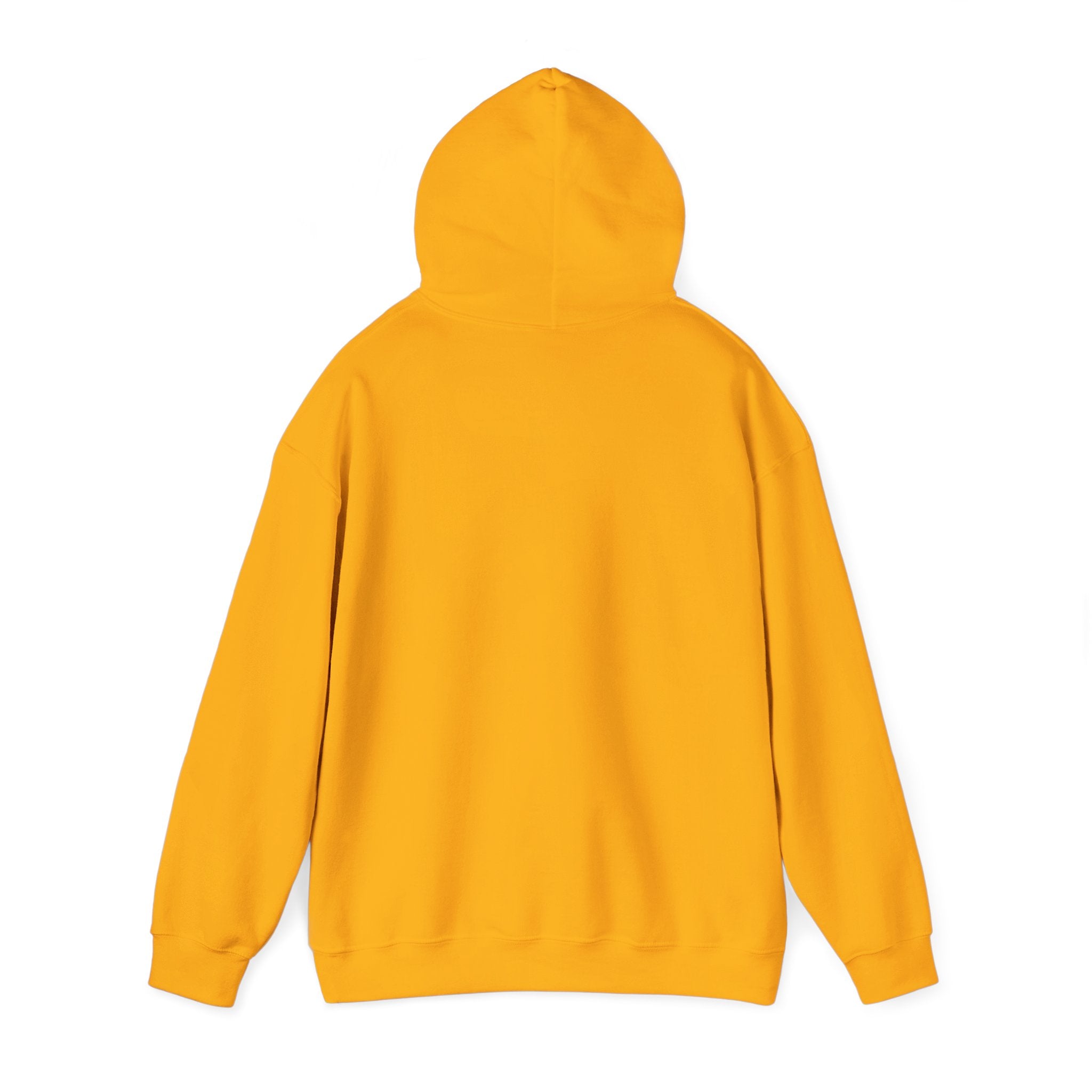 SPORTS BROADCASTER HOODIE