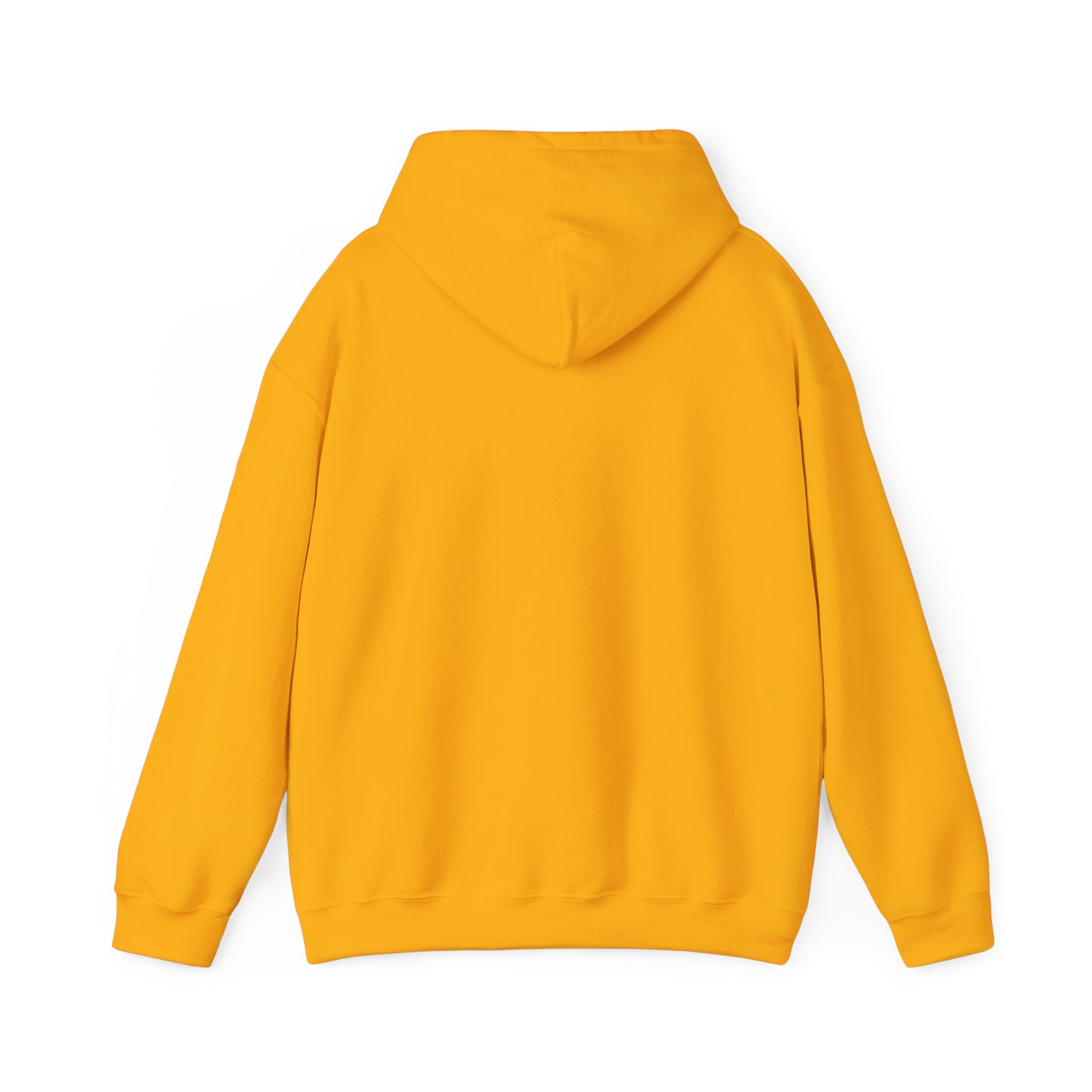 SPORTS BROADCASTER HOODIE