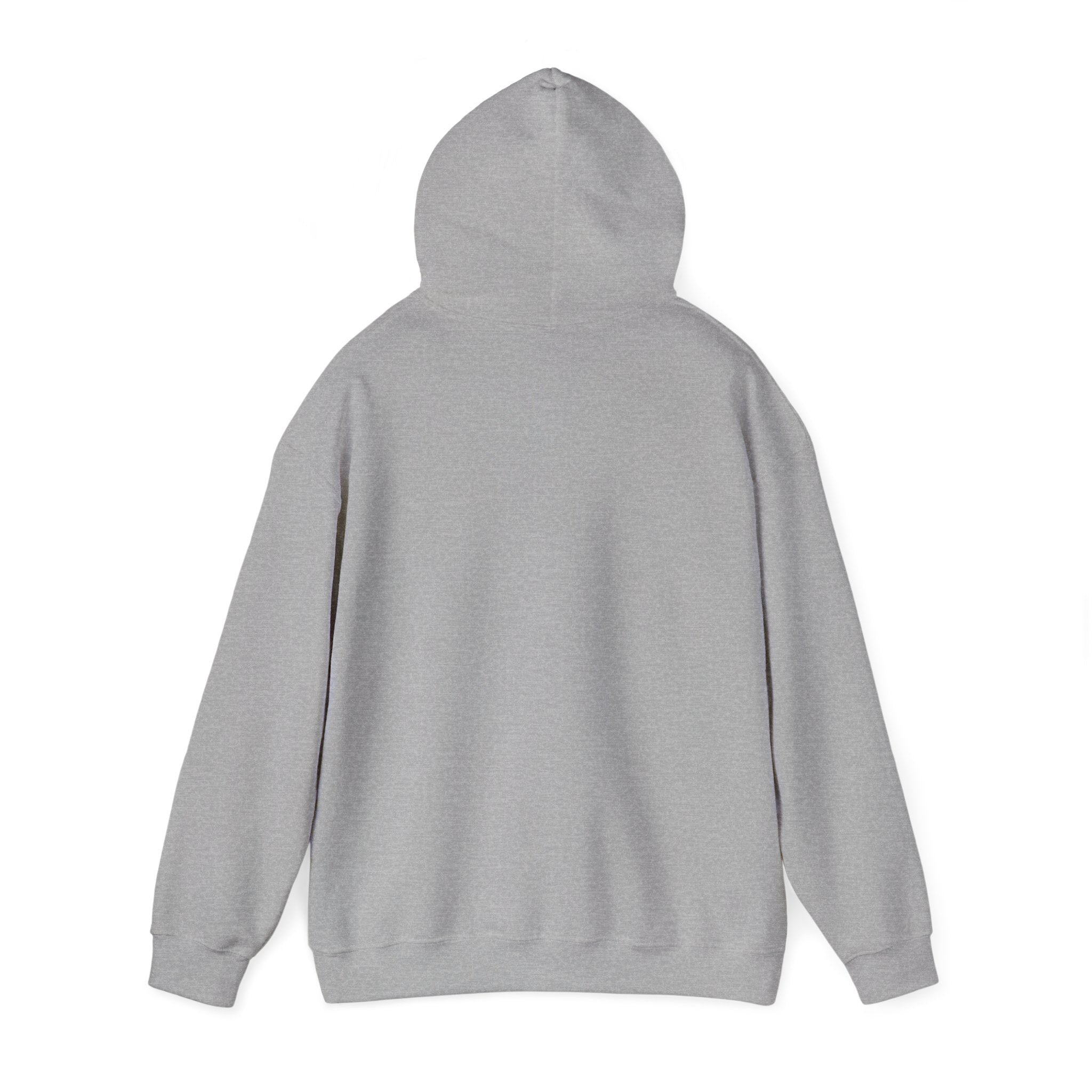 SPORTS BROADCASTER HOODIE