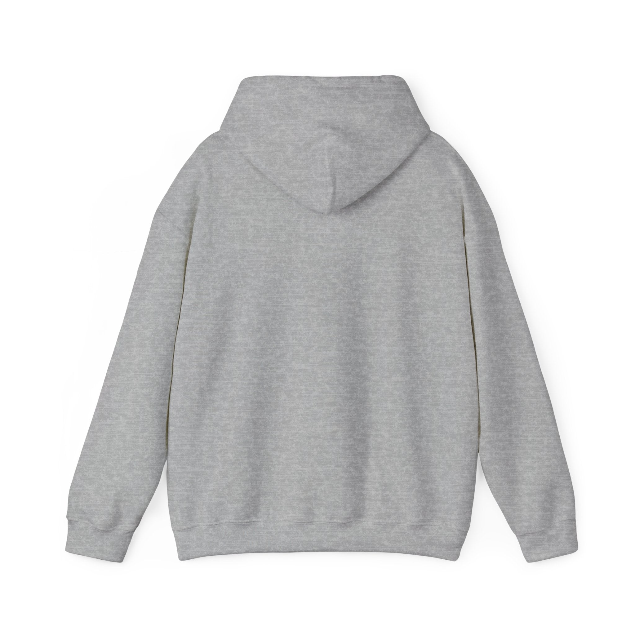 SPORTS BROADCASTER HOODIE