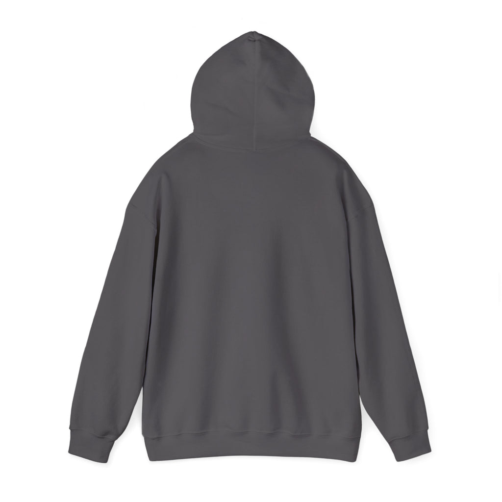FLOATING OBJECTS Hoodie