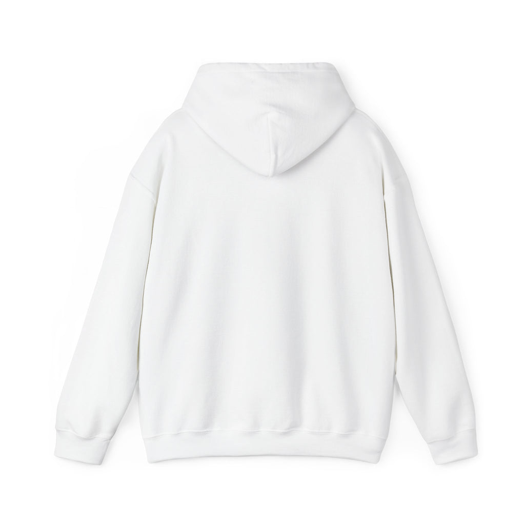 FLOATING OBJECTS Hoodie