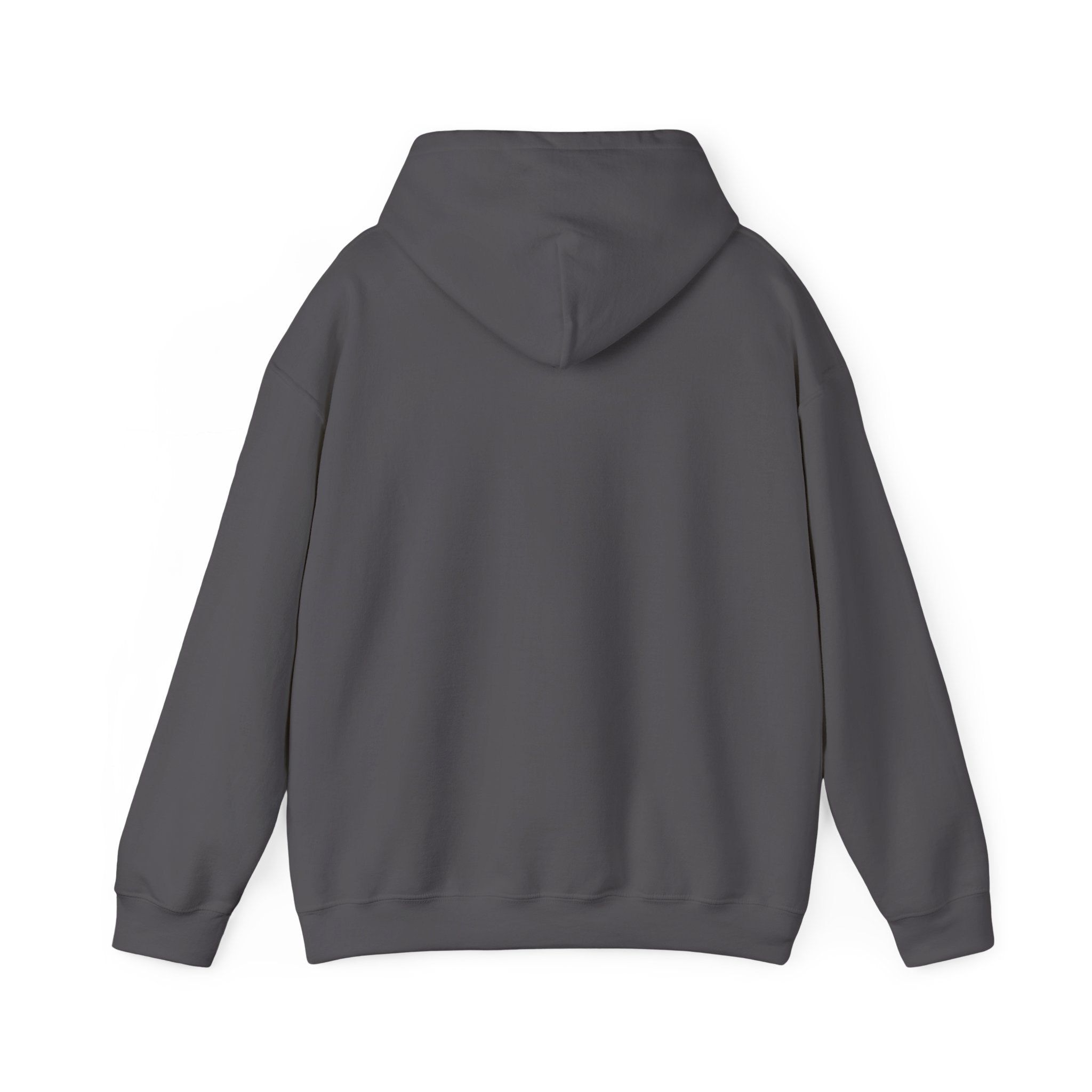 EGYPT Casual Comfort Hoodie